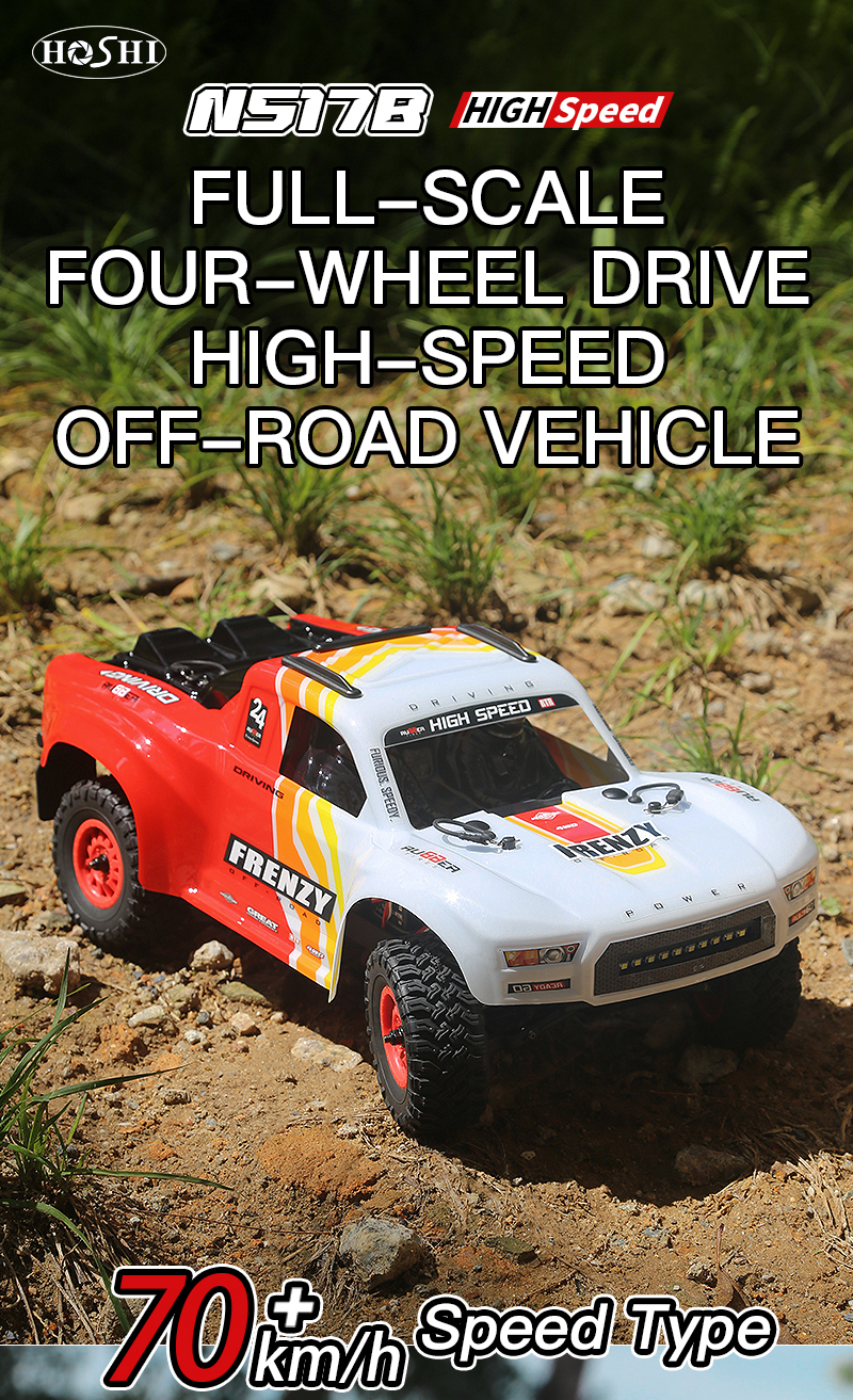 N517B RC Car - High Speed 1/12 Brushless 4WD off-Road Truck