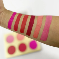 Private Label High Pigment Blush végétalien sans cruauté aux animaux Palette de fard à joues bronzante imperméable