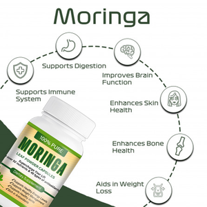 תה מוריגה אבקת תמצית עלי מוריגה אנרגיה מעוררת אנרגיה חיזוק מערכת החיסון הקלה על כאבי מפרקים ירידה טבעית במשקל - Product Image 3