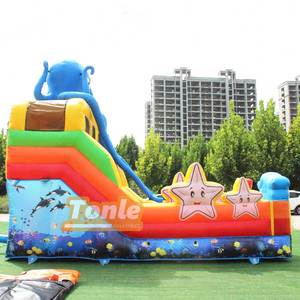 Dual Lane trượt trẻ em dưới nước Thế Giới trượt bơm hơi để bán - Product Image 4