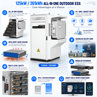 Sistem Tenaga Luar Ruangan ESS Industri Komersial LiFePO4 50-300kWh dengan Pendingin Cairan 125kW PCS Manajemen Penyimpanan Energi Cerdas