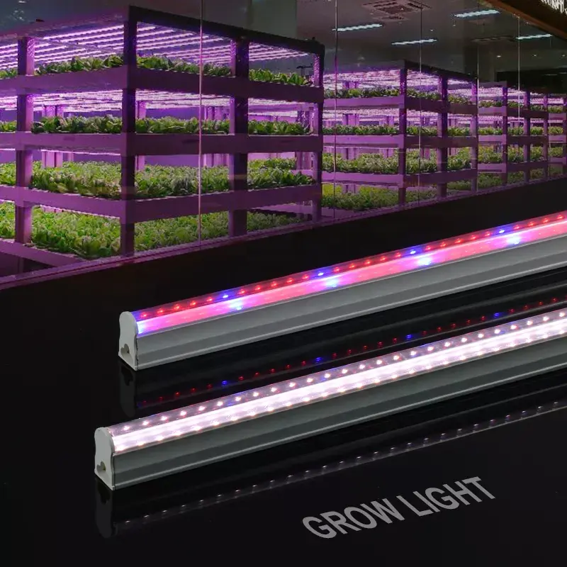 Sistemas de invernadero hidropónico LED Plant Grow Light Housing T5 Grow Light horticultura LED grow Lights para invernadero