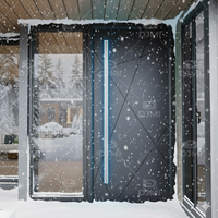Portes de sécurité extérieures pivotantes en acier inoxydable de haute qualité de style américain pour maison, porte d'entrée en métal