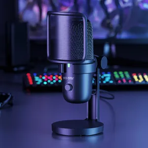 2023 Hot Sale Computador Microfone Profissional Estúdio Condensador Som Gravação Microfone Metal melhor microfone sem fio