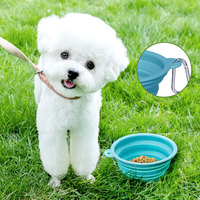Bol pour animaux de compagnie en silicone sans BPA, sûr pour les aliments, pliable, avec logo personnalisé