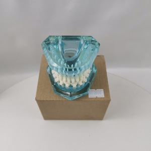 Modelo de diente de práctica con soporte de cerámica M3002 para entrenamiento dental y de ortodoncia, uso doméstico, paquete individual - Product Image 4