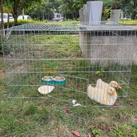 Cage de jeu pliable en fil métallique pour poulets, plusieurs tailles, cage en acier et fer très demandée pour l'élevage de poulets