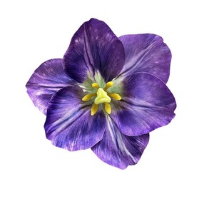 Fleurs de tulipes artificielles, têtes de tulipes réalistes, accessoires de photographie pour mariage et fête, décoration de la maison, couronne et boîte à fleurs - Product Image 5