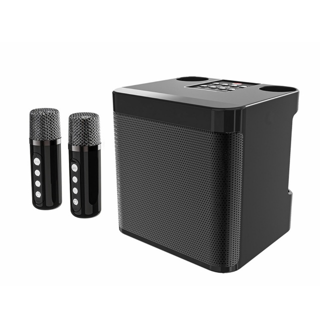 Factory Wholesale for V5.3 Wireless Karaoke Speaker Dual Microphone Metal Cabinet IPX2 Waterproof OEM Custom Logo Portable