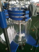 Réacteur en verre à double enveloppe automatique avec pompe moteur pour 1L-200L