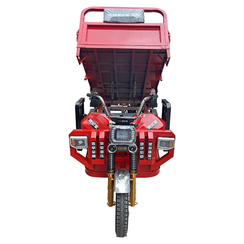 Venta caliente de la fábrica de China de Diseño Popular triciclo eléctrico 3000 vatios