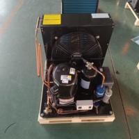 Petite unité de condensation de haute qualité 1hp 2hp 3hp Copeland AC Compressor pour la réfrigération et la congélation économes en énergie
