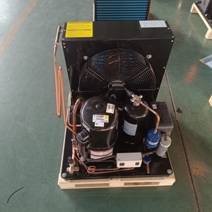 1hp 2hp 3hp di alta qualità piccola unità di condensazione Copeland AC compressore per il risparmio energetico di refrigerazione e di congelamento - Product Image 3