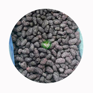 Mûres surgelées IQF XMSD pour garnitures <span class=keywords><strong>de</strong></span> pâtisserie et préparation <span class=keywords><strong>de</strong></span> fruits, avec exécution <span class=keywords><strong>de</strong></span> recettes OEM et contrôle <span class=keywords><strong>de</strong></span> conformité - Product Image 3
