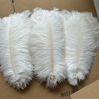 Plumes d'autruche blanches de 40-45 cm (16-18 pouces) parfaites pour l'artisanat, les décorations de carnaval, les centres de table et les garnitures de vases