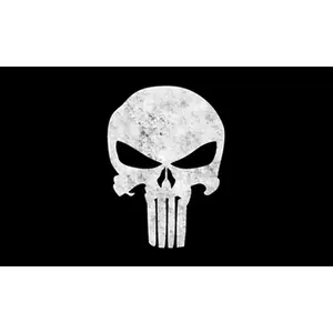 Ready stock 100% polyester flying style double sided Punisher Skull flag