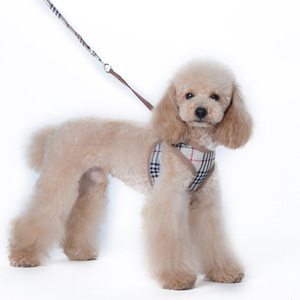 Ensemble de harnais et de laisse en polyester pour chiens et chats, réglable, anti-étranglement, directement du fabricant - Product Image 4