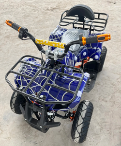 รถเอทีวีบักกี้แบบออฟโรดสำหรับทุกพื้นที่  รับผลิตตามแบบ OEM ODM สำหรับสวนสนุก กิจกรรมกลางแจ้ง ผจญภัย  พร้อมโลโก้สั่งทำพิเศษ - Product Image 1