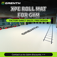 Tapis de sol de protection en cuir Composite XPE écologique de 10mm d'épaisseur pour la gymnastique danse Yoga Taekwondo Sanda Judo pliable