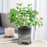 Pot de fleurs hydroponique paresseux à absorption automatique d'eau, pot transparent à double couche en plastique, auto-arrosant, pour bureau