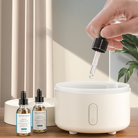 Diffuseur d'Huiles Essentielles Ultrasonique Alimenté par USB avec Veilleuse LED, Humidificateur à Brume Froide Silencieux pour Maison et Chambre à Coucher, Garantie 1 An