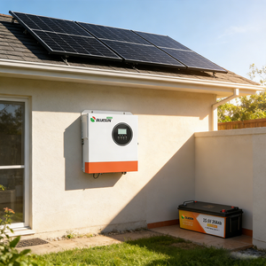 Sistema de Almacenamiento de Energía Solar Dividido de 4.2KW, 200Ah, Protección IP65, Comunicación CAN, Híbrido Doméstico, Conjunto Completo con Paneles de 650W - Product Image 1