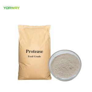 Poudre alcaline Cas 9014 d'enzymes de protéase de catégorie comestible de catégorie d'alimentation d'approvisionnement d'usine - Product Image 2