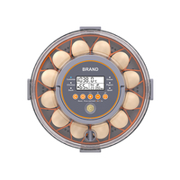 Nouveau design d'incubateurs automatiques à œufs à motif solide équipement agricole à fermeture à bouton pour poulet canard caille œufs complets pour usage domestique