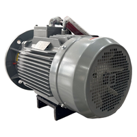Moteur d'agitateur triphasé IEC à entraînement direct 50/60Hz, faible régime, 380V, avec variateur de vitesse intégré
