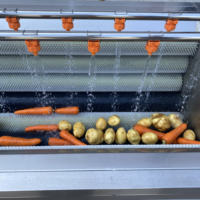 Nieuwe, voedselveilige roestvrijstalen machine voor het wassen en schillen van groenten, geschikt voor de verwerking van aardappelen, gember en bieten