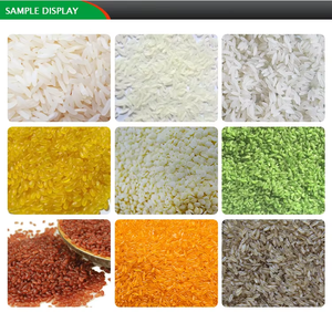 Nouvelle machine automatique de fabrication de poudre de riz nutritif, extrudeuse de produits à base de grains de riz enrichis pour les magasins d'alimentation, moteur haute capacité - Product Image 3