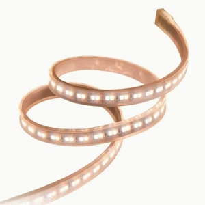 ไฟ LED แบบยืดหยุ่น SMD 2835 60D สีเดียว DC12V DC24V IP20 ไม่กันน้ำ กว้าง 8 มม. แผงวงจรพิมพ์สองชั้น - Product Image 4
