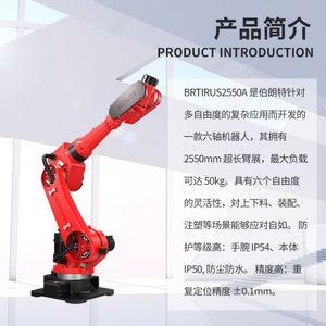 BORUNTE Brazo Robótico Industrial para Pintura y Pulverización, Tipo Trompa de Elefante, Carga Útil de 50 kg, Alcance de 25500 mm, 6 Ejes, Motor PLC, Accionamiento Eléctrico, IP67 - Product Image 4