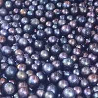 Perle d'eau douce noire teinte, à fort lustre, pour la création de bijoux DIY