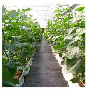 Toile géotextile industrielle en PP non tissé anti-âge, idéale <span class=keywords><strong>pour</strong></span> les allées gravillonnées - Product Image 5