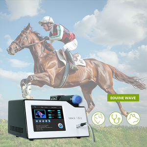 Appareil de thérapie par ondes de choc électromagnétiques radiales pour chevaux, pour la physiothérapie - Product Image 5