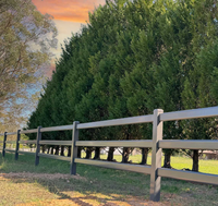 Clôture moderne en aluminium à 3 rails de style ranch, clôture en aluminium avec poteaux et barreaux, et grillage à mailles losangées pour maison rurale australienne