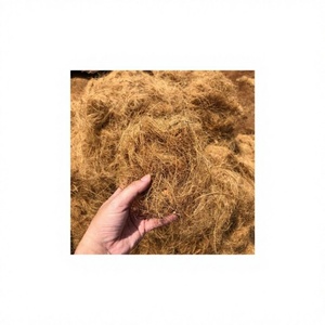 Matériau en fibres de coco naturelles TOP Eco pour substrat agricole et exportation commerciale - Product Image 1