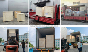 เครื่องเขย่าปลาเครื่องแช่แข็งแบบจานด่วนตู้แช่แข็งแบบอุโมงค์เชิงพาณิชย์ผลผลิตสูงความจุกิโลกรัม/ชั่วโมง200 - Product Image 6