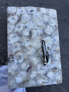 Calmar géant congelé de nouvelle saison à bon <span class=keywords><strong>prix</strong></span> - Product Image 3