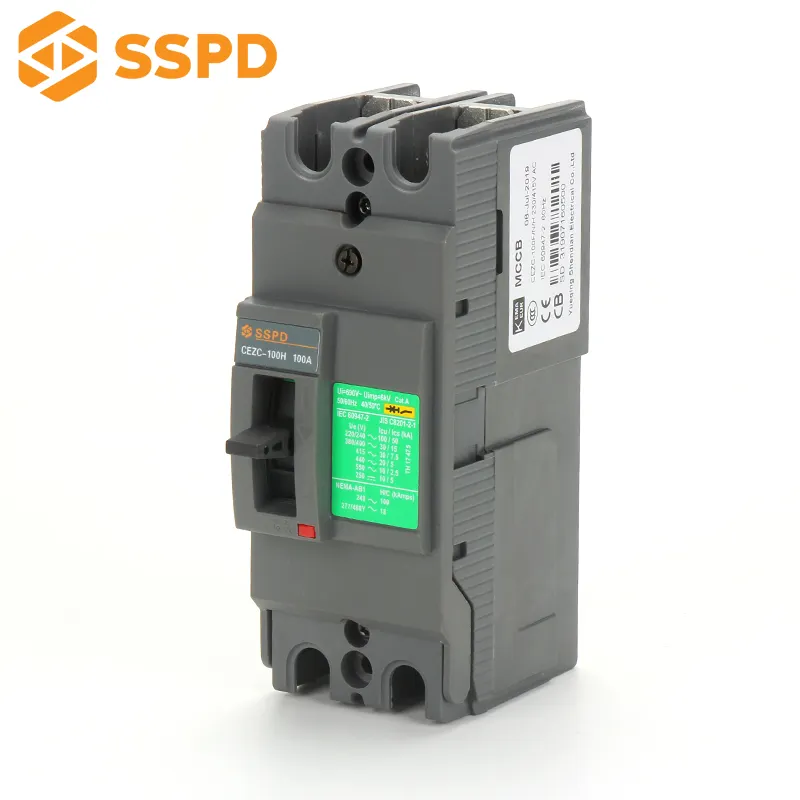 SSPD best sale EZC 100A low voltage protection 2 poles thermal circuit breaker