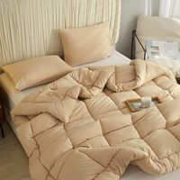 Parures de lit d'hôtel toutes saisons en microfibre de polyester, épaisses, luxueuses, à prix abordable, 200gsm, 300gsm, 400gsm, inserts de couette d'hôtel