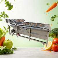 Automatische multifunctionele groente- en fruitwasser met energiebesparing en 1 jaar garantie