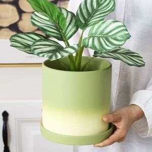 Pot de fleurs rond en céramique minimaliste nordique avec trou de drainage pour plantes succulentes, jardinières de bureau avec soucoupe - Product Image 3