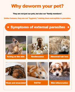 Compresse Svermianti con Estratti Vegetali per Cani e Gatti - Integratori Nutrizionali per la Cura Quotidiana - Forniture Professionali per la Salute degli Animali Domestici - Product Image 6