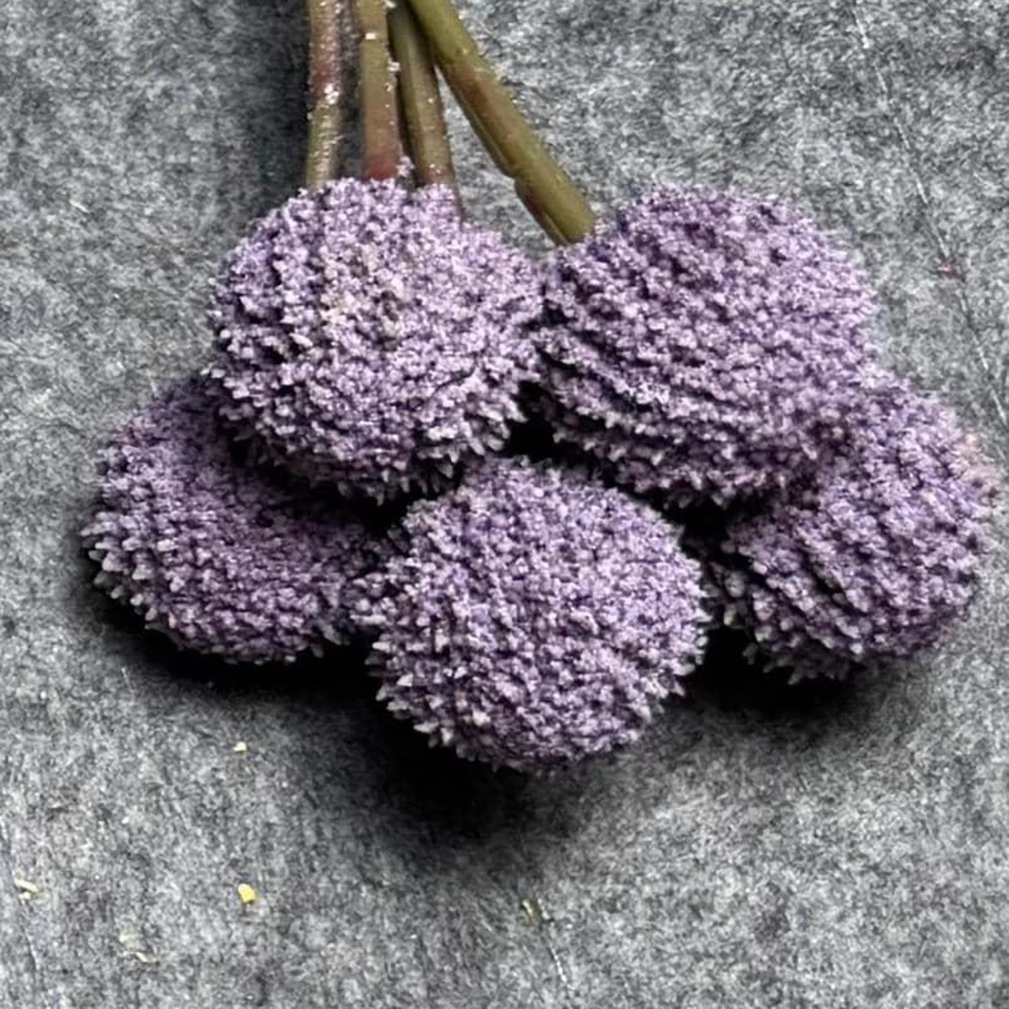 7 Stems 7 Heads 62cm Purple