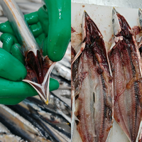 Poisson et fruits de mer frais Fruits de mer surgelés Pacific Saury Poisson congelé Exportation