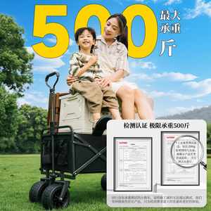 Carrito de Camping Plegable Resistente de 150L, Carrito Utilitario Portátil para Jardín, Playa y Exteriores con Capacidad de Carga de 200kg - Product Image 2
