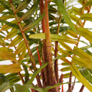 Pianta artificiale da 118cm con fronde <span class=keywords><strong>verdi</strong></span> sintetici durevoli e naturali per l'arredamento di interni - Product Image 3