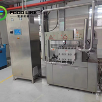 Homogénéisateur ultrasonique Sonicator, pasteurisateur de lait et homogénéisateur pour la crème glacée